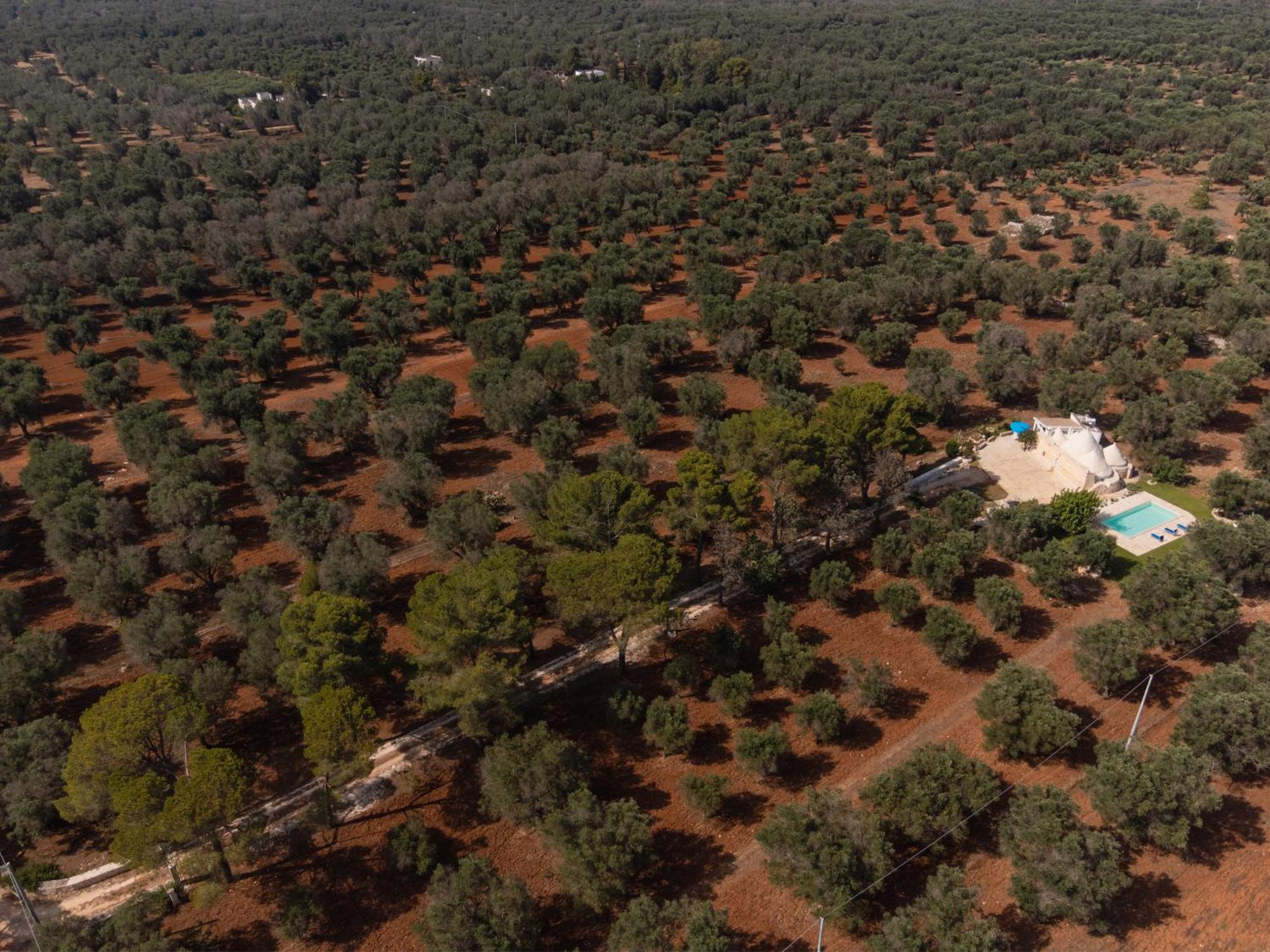 דירות Latiano Trullo Tarantini Con Piscina Privata מראה חיצוני תמונה